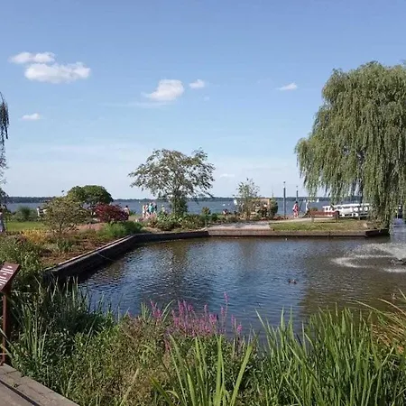 By The * 바트즈위스케나흔